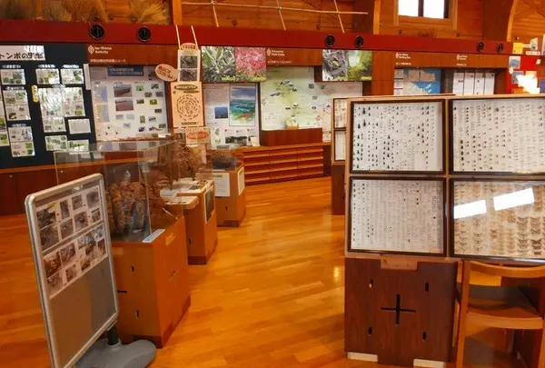 ビジターセンター