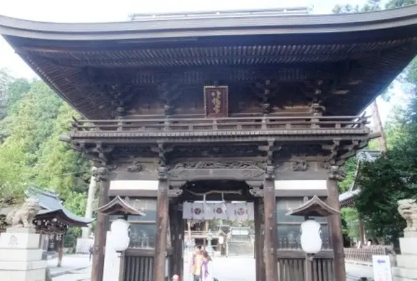 近江八幡水郷めぐりの写真・動画_image_13226
