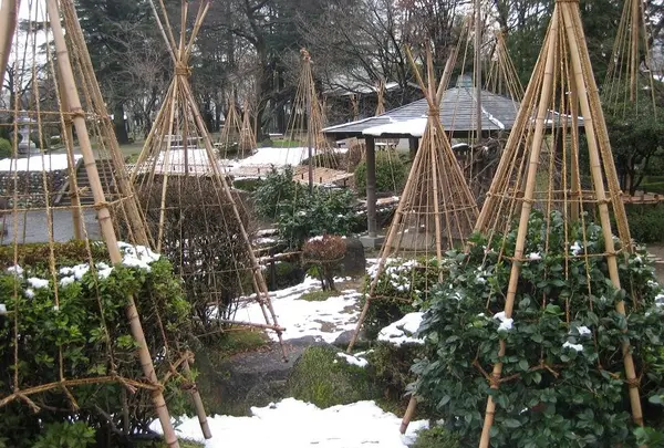 お城の周りは城址公園