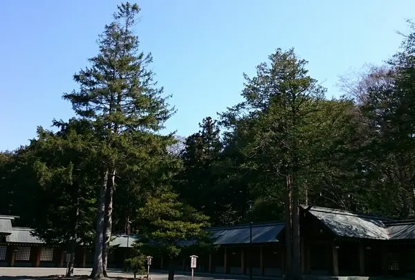 空気も澄んでました。