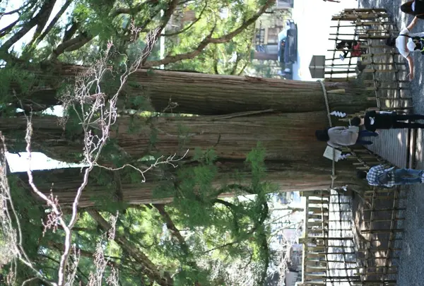 横からみてね↑