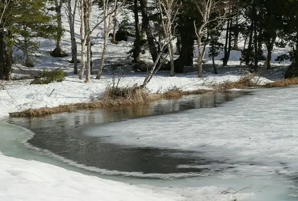 えっっ凍ってる