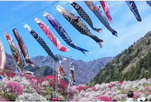 鯉のぼりと🎵