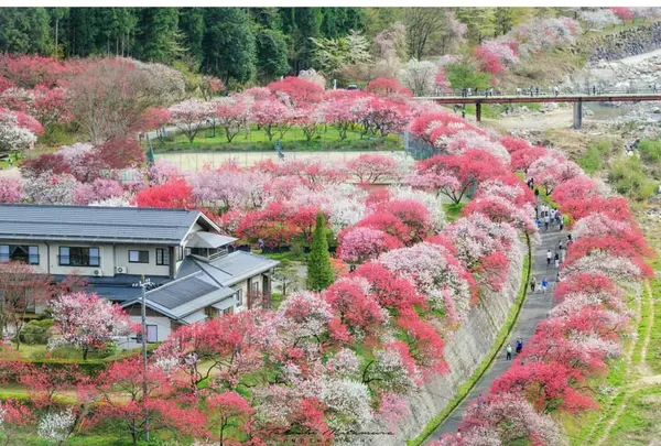 まさにフォトジェニック‼