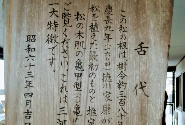 徳川家康が植えた松