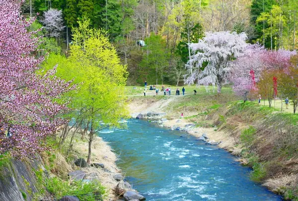 つり橋から