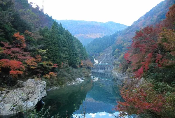 祖谷渓の写真・動画_image_13733