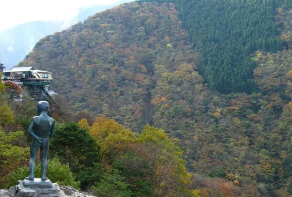 祖谷渓の写真・動画_image_13735