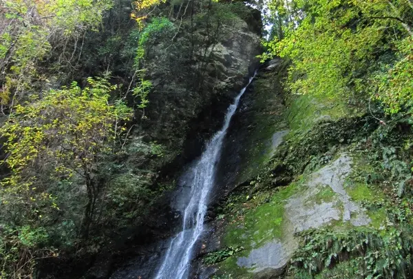 祖谷のかずら橋の写真・動画_image_13743