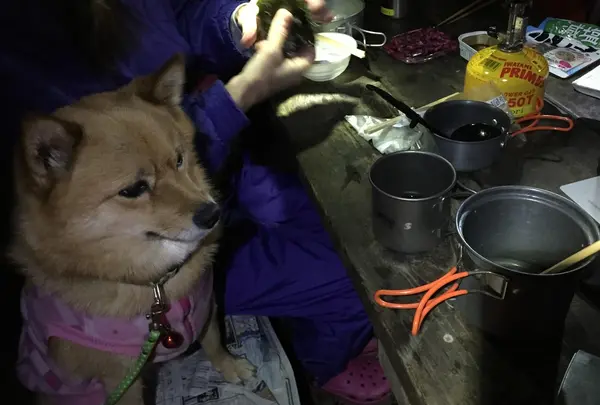 赤岳鉱泉の写真・動画_image_13767