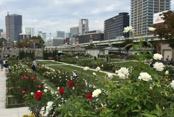 中之島バラ園