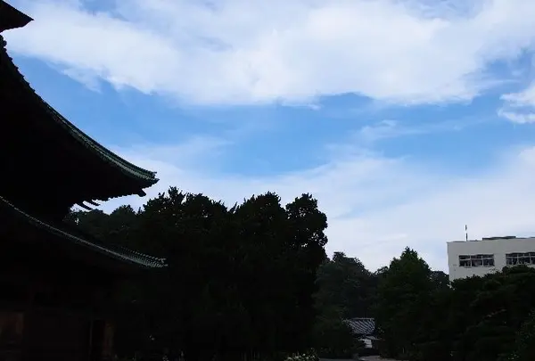 朝早い厳粛な空気感