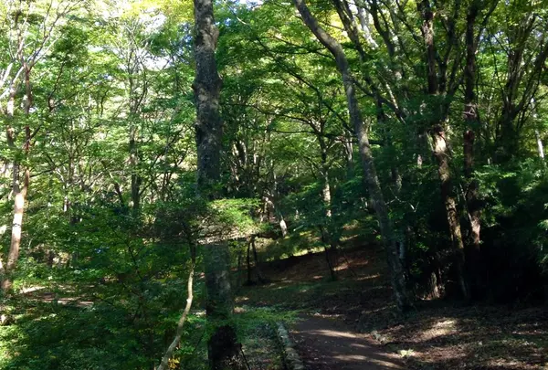 箱根園の写真・動画_image_13960