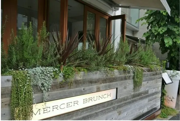 マーサーブランチ MERCER BRUNCHの写真・動画_image_139924