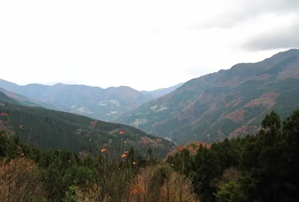 山頂付近からの景色