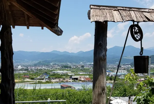 さくらんぼ屋宮原の写真・動画_image_141243