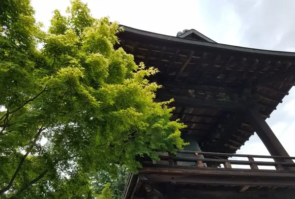 放光寺の写真・動画_image_141252