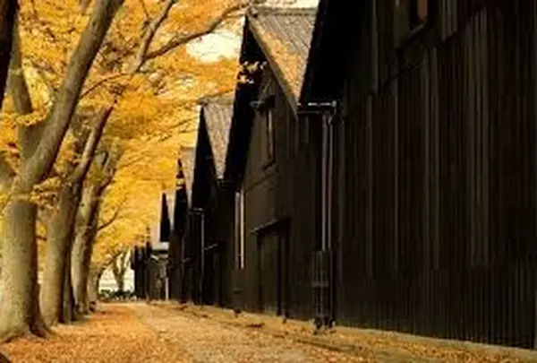紅葉の季節