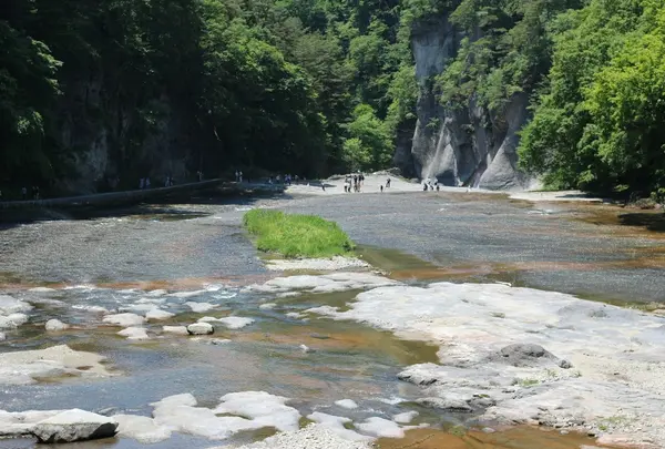 つり橋からの吹割の滝