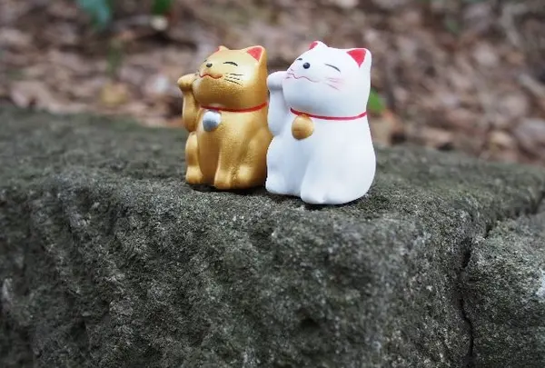 かわええ～