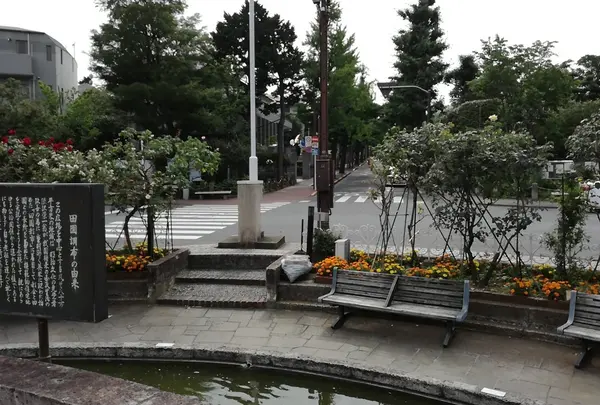 田園調布駅の写真・動画_image_144379