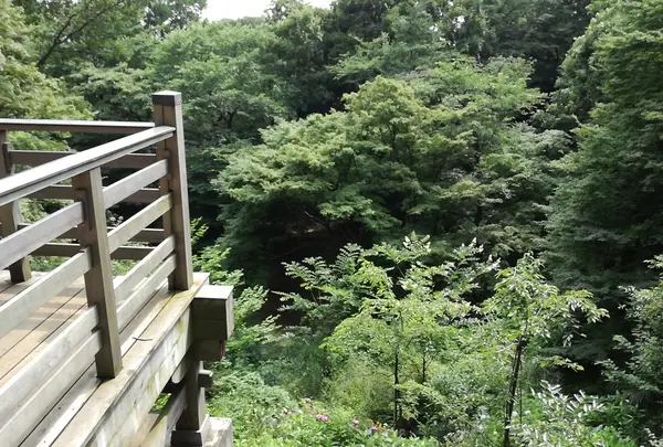 等々力不動尊の写真・動画_image_144382