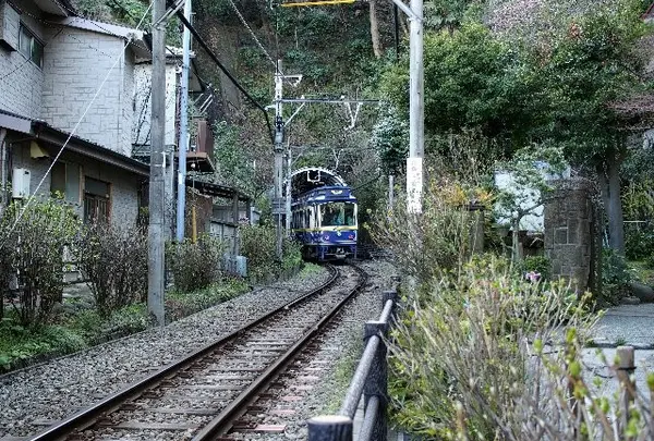 江ノ電撮影スポット♪
