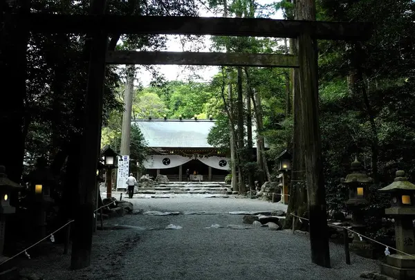 ようやく見えてきました