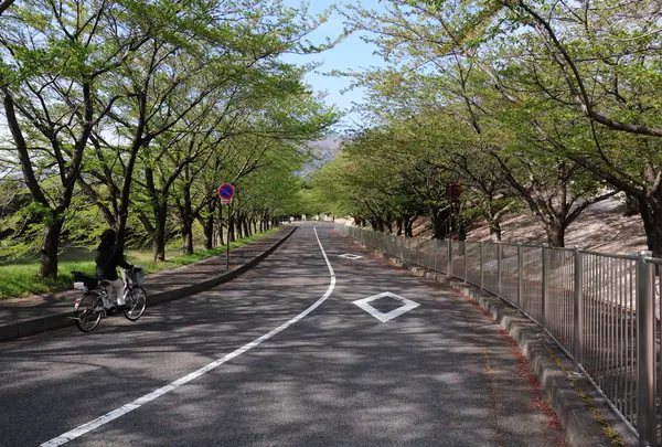 整備された道路