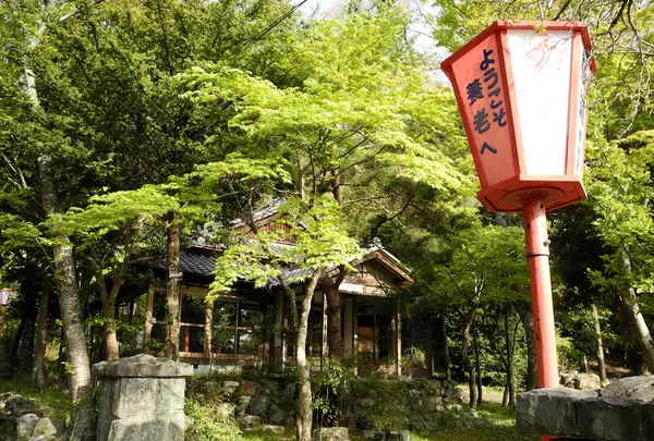 紅葉の名所