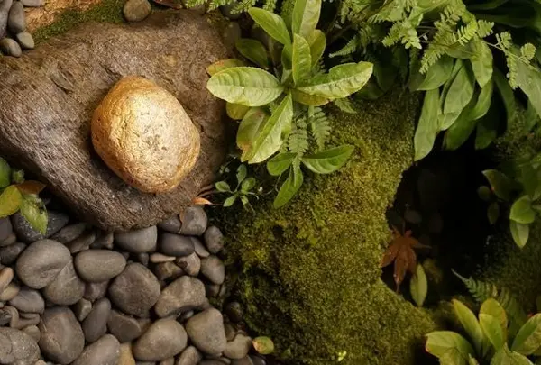 箔座 箔座ひかり藏の写真・動画_image_14685
