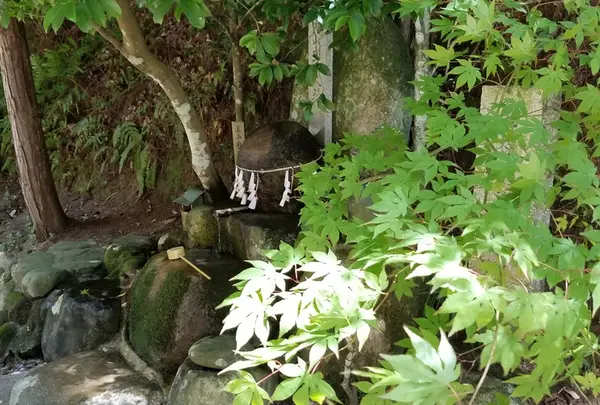 玉作湯神社の写真・動画_image_148909