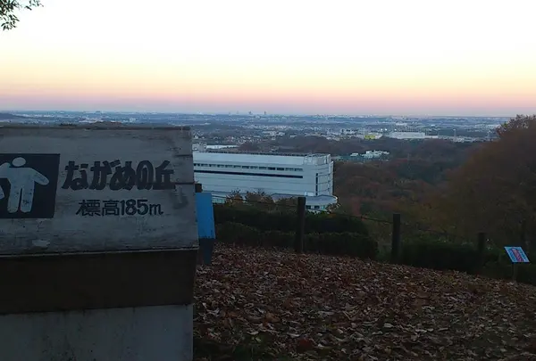 関東平野の地平線を眺める。