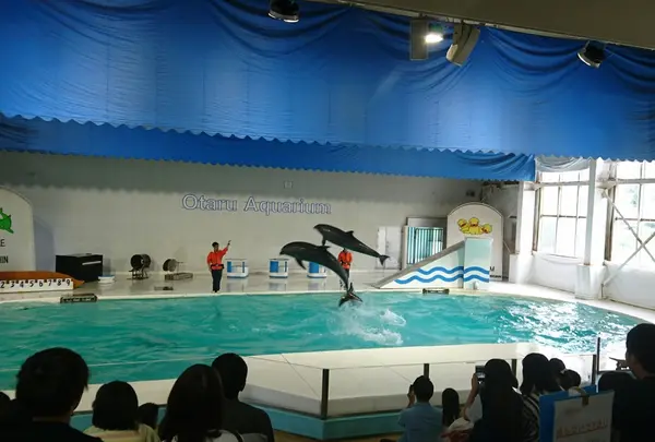 おたる水族館の写真・動画_image_149574