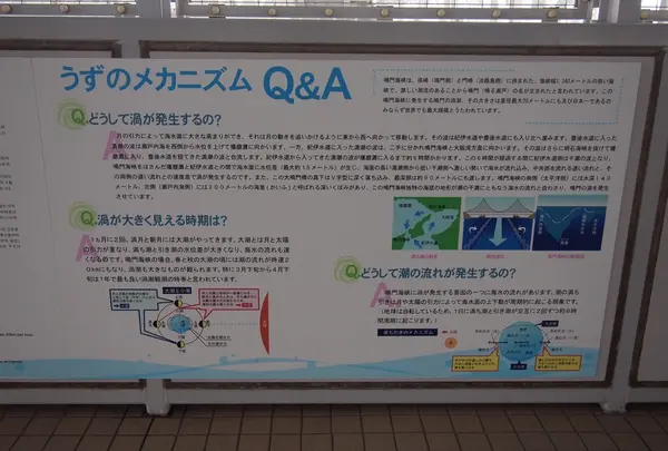 渦潮を学ぶ