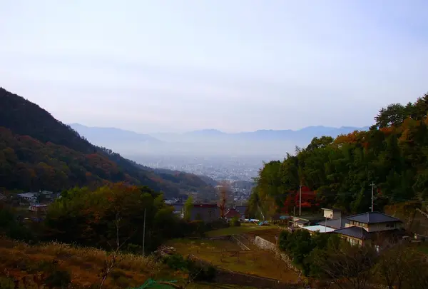 朝も綺麗