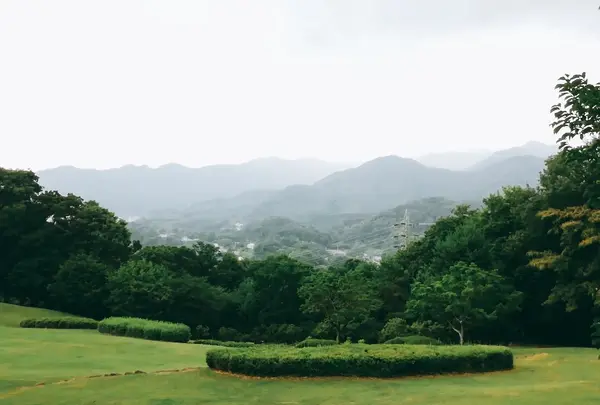 七沢森林公園の写真・動画_image_150634