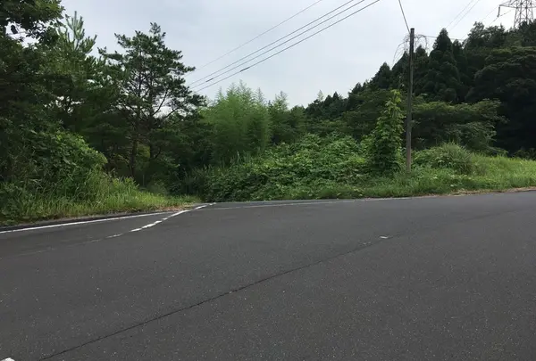 女夫岩遺跡の写真・動画_image_151494