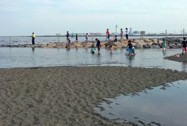 城南島海浜公園の写真・動画_image_15238