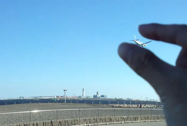 城南島海浜公園の写真・動画_image_15240