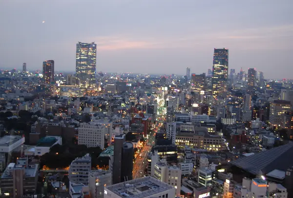 東京タワーの写真・動画_image_15294