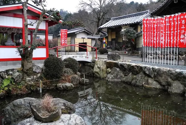 吉祥寺の写真・動画_image_15363