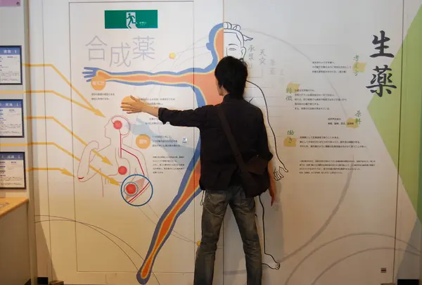 人体図