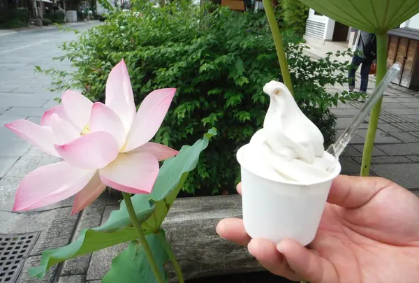竹風堂善光寺大門店の写真・動画_image_155382