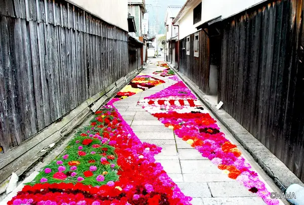 花の絨毯