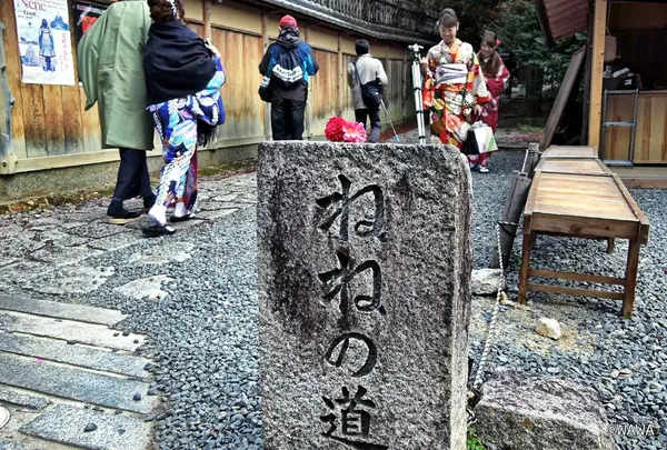 ねねの道