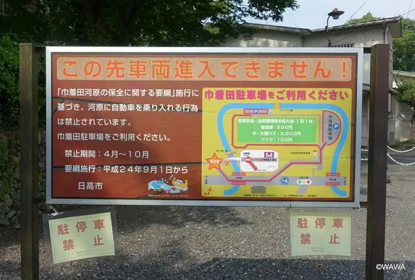 夏休みは巾着田で混雑
