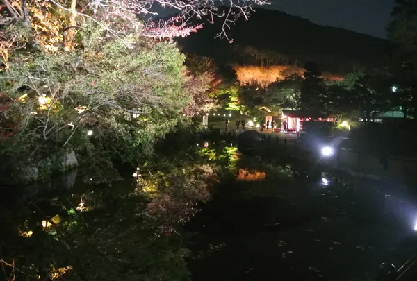 夜の水鏡