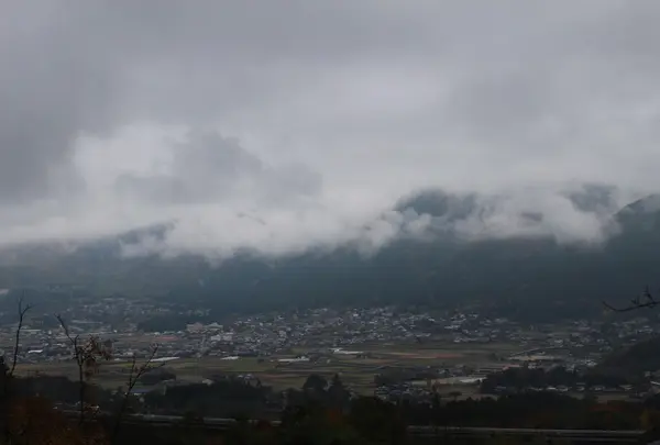 裏手の土手