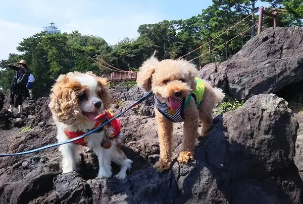 岩場